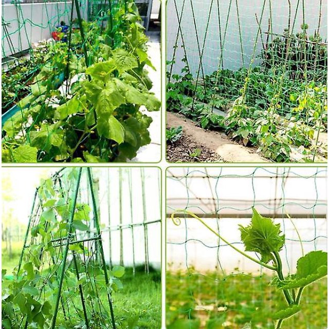 Rejilla Malla Resistente BRI 1,8*1,8 m Soporte para Plantas Trepadoras