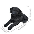 thumbnail image 4 of Hi-Line Gift Ltd. Midnight Reverie: Sleek Black Polyresin Lying Labrador Figurine, 4 of 5