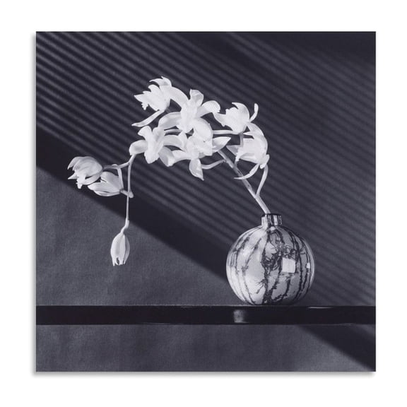Robert Mapplethorpe Orchids Canvas Famous Paintings, Wall Art Posters, Decorative Hanging Pictures Gifts Canvas Painting Poster Wall Art Decorative Picture Prints Modern Decor 24x24inch(60x60cm)