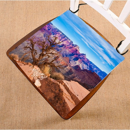 

PHFZK Scenery Chair Pad Beautiful Landscape of Grand Canyon National Park in Arizona USA Seat Cushion Chair Cushion Floor Cushion Two Sides Size 16x16 inches