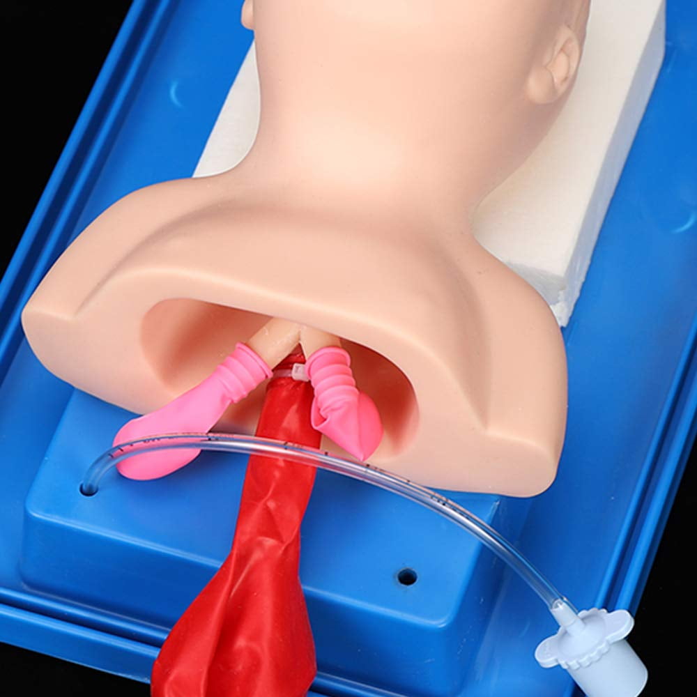 FETCOI Intubation Manikin Study Teaching Model, 220V Oral Nasal Intubation Airway Management Trainer PVC Demo (Newborn)