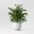 thumbnail image 2 of Self-Watering Plastic Indoor Outdoor Planter Pot, 2 of 4