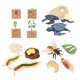 thumbnail image 5 of Juguetes de aprendizaje del ciclo de vida, ciencia educativa, animales preescolares, figuritas de plantas, juguetes Montessori para enseñanza, juegos Estilo A, 5 of 10