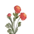 thumbnail image 2 of Faux Ranunculus 1PCS Real Touch Flowers 3-Head Peonies 20.5” Ranunculus Long Stem Artificial Flowers for Tall Vase for Weddings Bridal Bouquet Baby Shower Decorations (Watermelon Red), 2 of 9