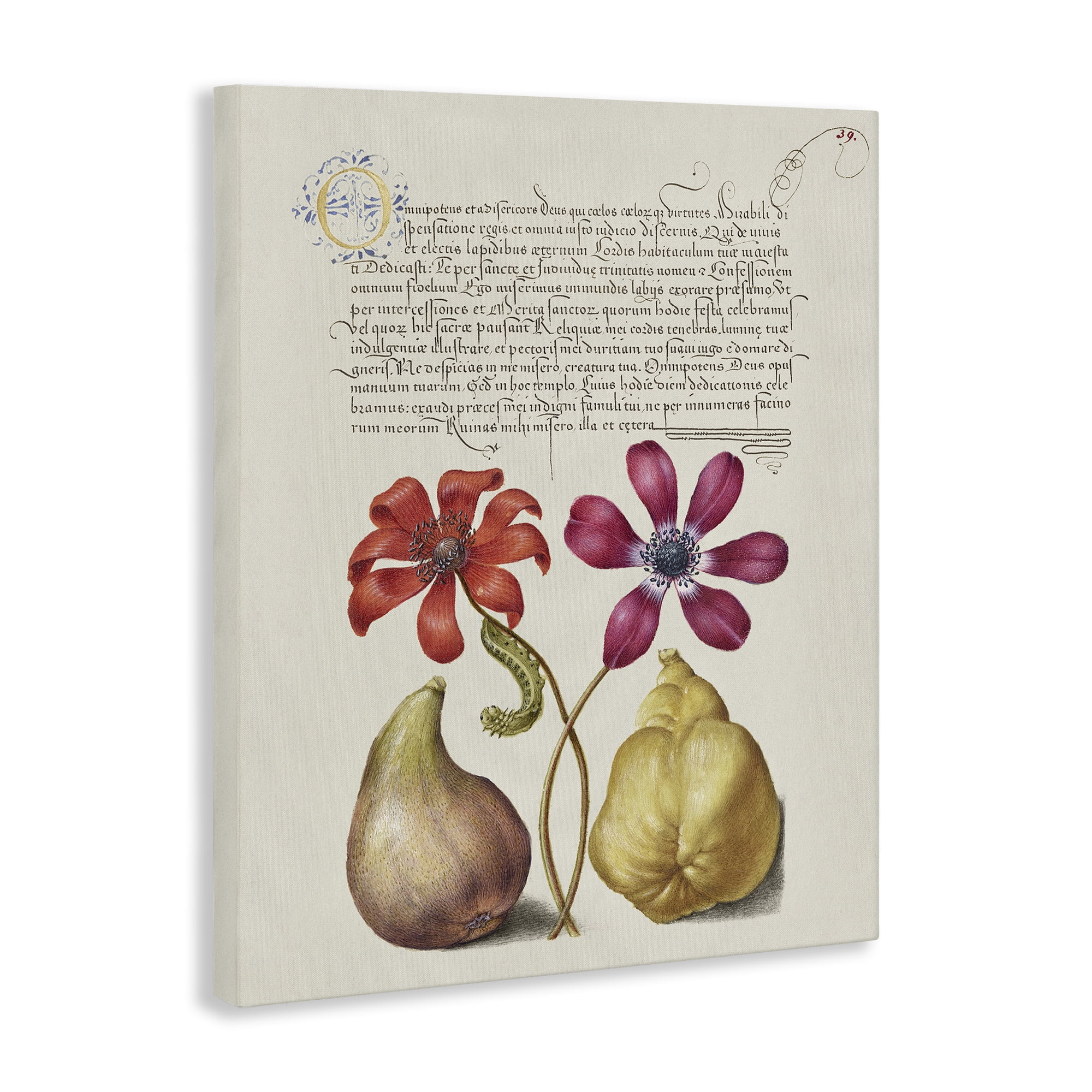 Stupell Industries Vintage Nature Page Text & Numbers Painting Wrapped Canvas Art Print Wall Art, 24 x 30