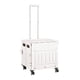 thumbnail image 1 of Carrito de compras plegable con ruedas, carrito de mano para la compra, carrito de supermercado de gran capacidad, caja para la oficina, camping,, 1 of 8