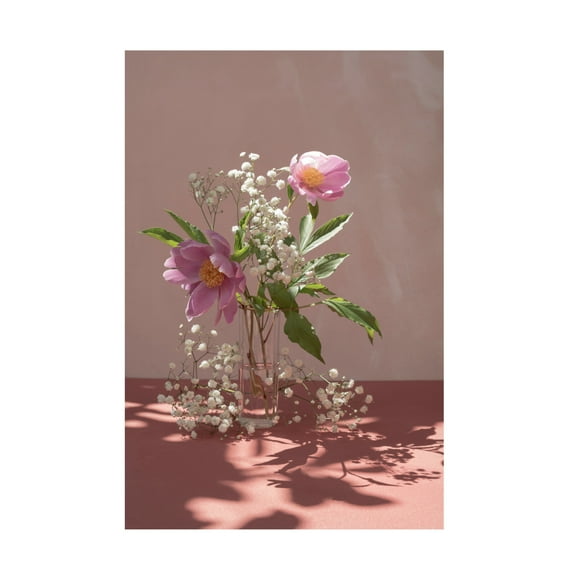 Trademark Fine Art Donatella Basso Light a shadow Canvas Wall Art