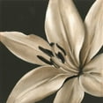 thumbnail image 2 of Harper, Ethan 20x20 White Modern Wood Framed Museum Art Print Titled - Classical Blooms III, 2 of 4