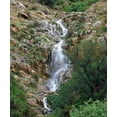 thumbnail image 2 of Talbot Frank, Christopher 20x23 Gold Ornate Wood Framed with Double Matting Museum Art Print Titled - CA, San Diego, Mission Trails Park A waterfall, 2 of 4