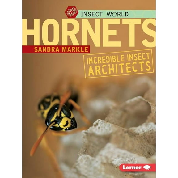 Insect World Hornets: Incredible Insect Architects, (Paperback)