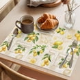 thumbnail image 3 of Summer Lemons Placemats Set of 8 Retro Farmhouse Botanical Fruit Leaves Place Mats Indoor Wipeable Table Mats Washable Cloth Dining Table Placemats for Kitchen Holiday Party Home Decor 13x19 Inch, 3 of 9