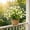 White, variant on 2PC Calla Lily Artificial Flowers,Fake Faux Plastic Fake Flowers Plants,UV Resistant Outdoor Artificial Flowers,for Yards Planter Home Porch Spring Fall Summer Decor