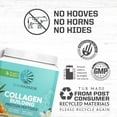 thumbnail image 4 of Sunwarrior Vegan Collagen Vanilla Protein Powder with Biotin & Hyaluronic Acid 20 Servings, 4 of 8