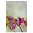 thumbnail image 1 of Betsy Drake GT220 Tulipes Serviette d'Invité - 20 x 20 Po., 1 of 1