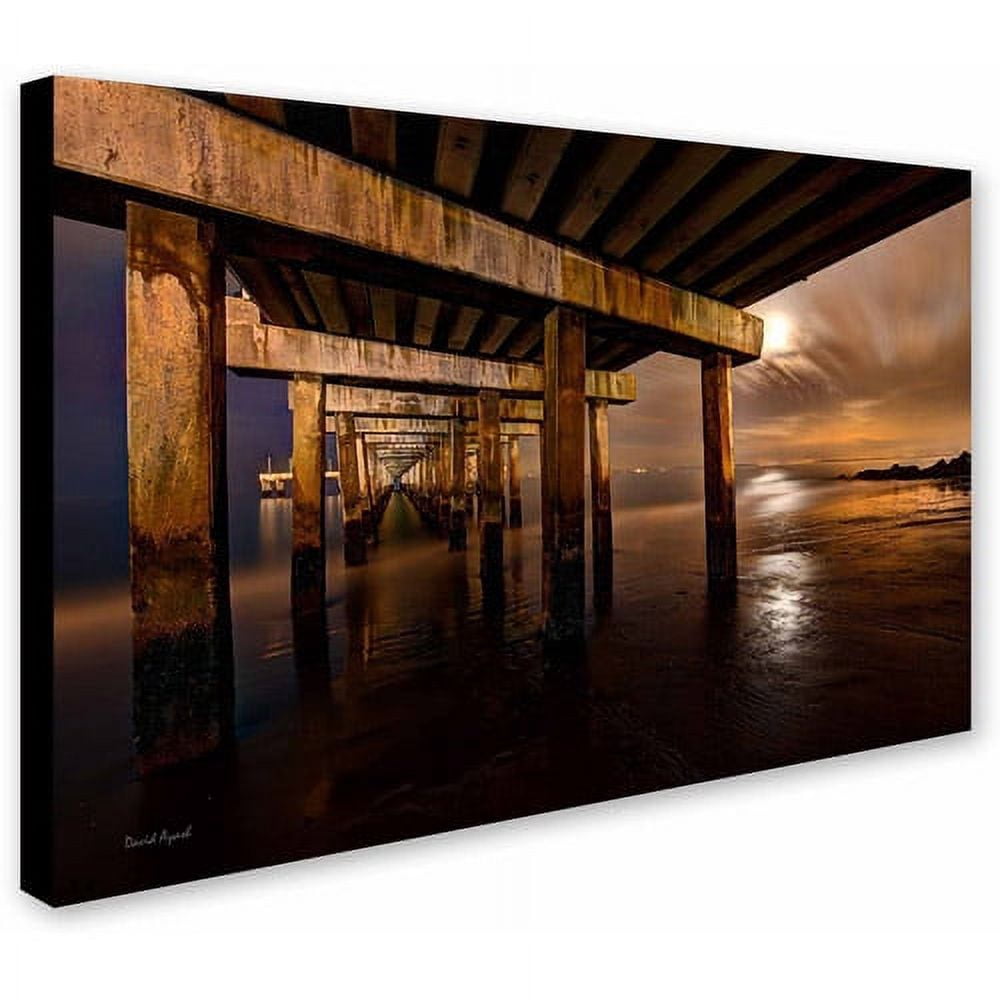 Trademark Fine Art "Coney Island - Brooklyn, NY II" Canvas Art by David Ayash