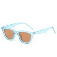 thumbnail image 1 of Lunettes de Soleil Bleues pour Adultes Unisexes Été Personnalité Carrée Rétro Jambes Larges Multicolores, 1 of 6