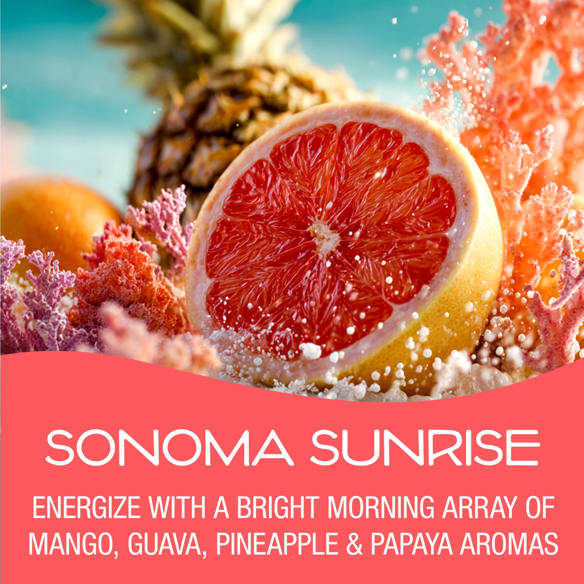 California Scents Spillproof Solid Air Freshener Can for Home or Auto, Sonoma Sunrise Scent