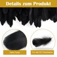 thumbnail image 2 of Plumas negras para manualidades DIY, 100 piezas de plumas decorativas, plumas naturales para manualidades, plumas para manualidades DIY para atrapasueños, pendientes, decoraciones de boda, baby, 2 of 8