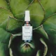 thumbnail image 2 of Elixir Facial Calmante Sereno Valchini 50ml, 2 of 3