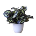 thumbnail image 1 of Matsuzay Hojas de plantas artificiales en maceta, hojas de simulación, hogar, oficina, escritorio, decoración de partición de boda, decoración del Plantas Artificiales tipo de planta 2 y 2 Matsuzay HA7604-02B, 1 of 6