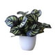 thumbnail image 1 of Hojas de plantas Artificiales en maceta Yuarrent tipo de Planta 2 22 * 20 cm, 1 of 6