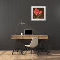 thumbnail image 3 of Jeffrey, Jillian 20x20 White Modern Wood Framed Museum Art Print Titled - Tulipa I, 3 of 4