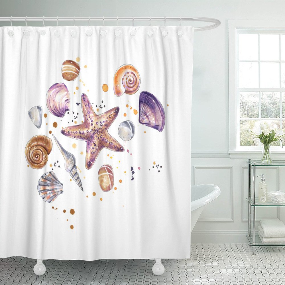 PKNMT Composition of Exotic Sea Shells and Starfish on White Shower