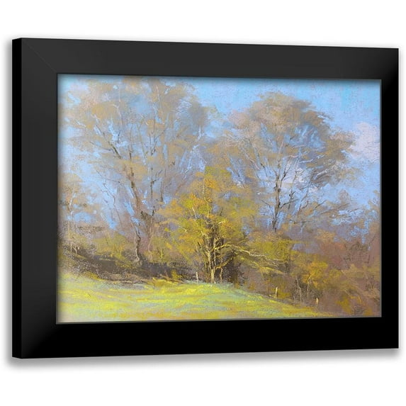 Chaney, Alan 24x19 Black Modern Framed Museum Art Print Titled - Sunny Autumn Day