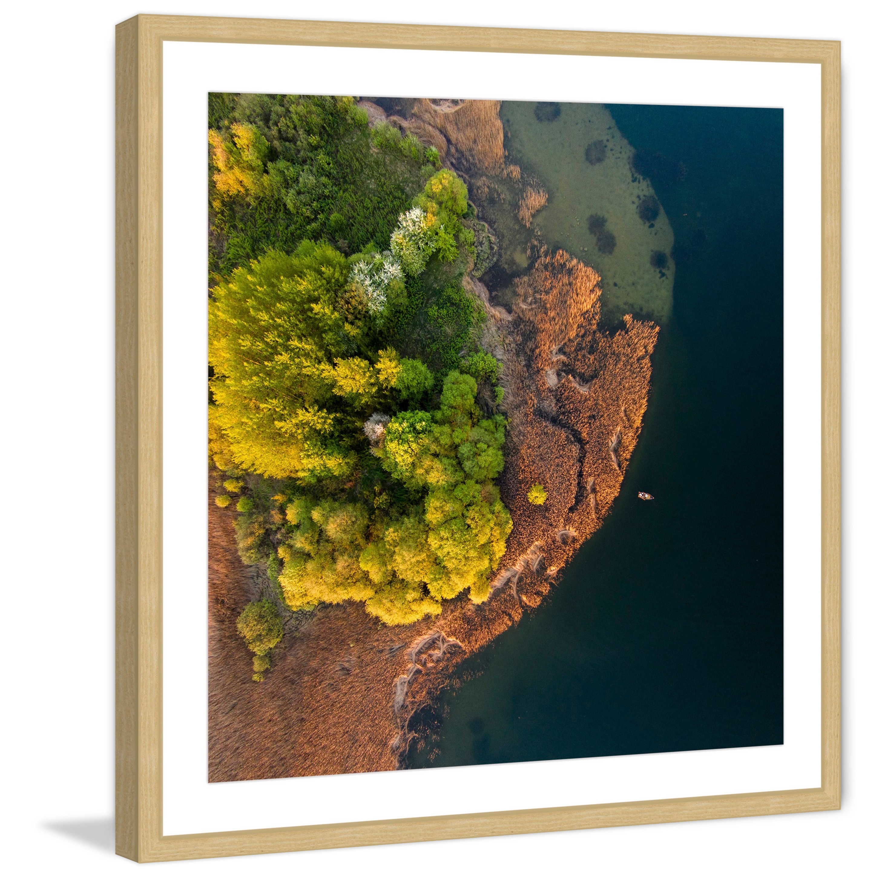 Marmont Hill "Trees from Above" by Karolis Janulis Framed Painting Print