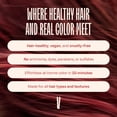 thumbnail image 4 of oVertone Daily Color Depositing Conditioner 8oz Temporary Hair Dye Conditioner with Shea Butter & Coconut Oil, Moisturizing Vegan & Cruelty-Free, For All Hair Types & Color-Treated Hair, Ruby Red, 4 of 8