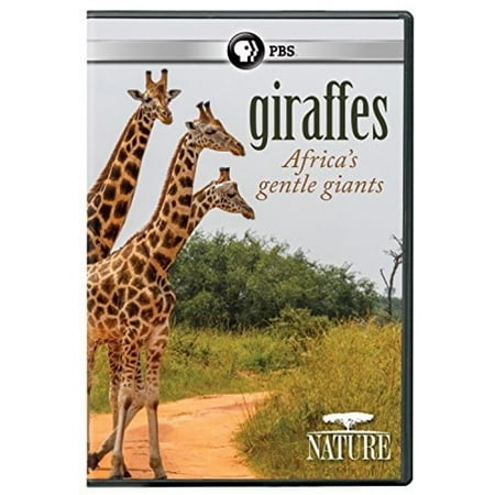 Nature: Giraffes: Africa's Gentle Giants (DVD) (Best African Wildlife Documentaries)