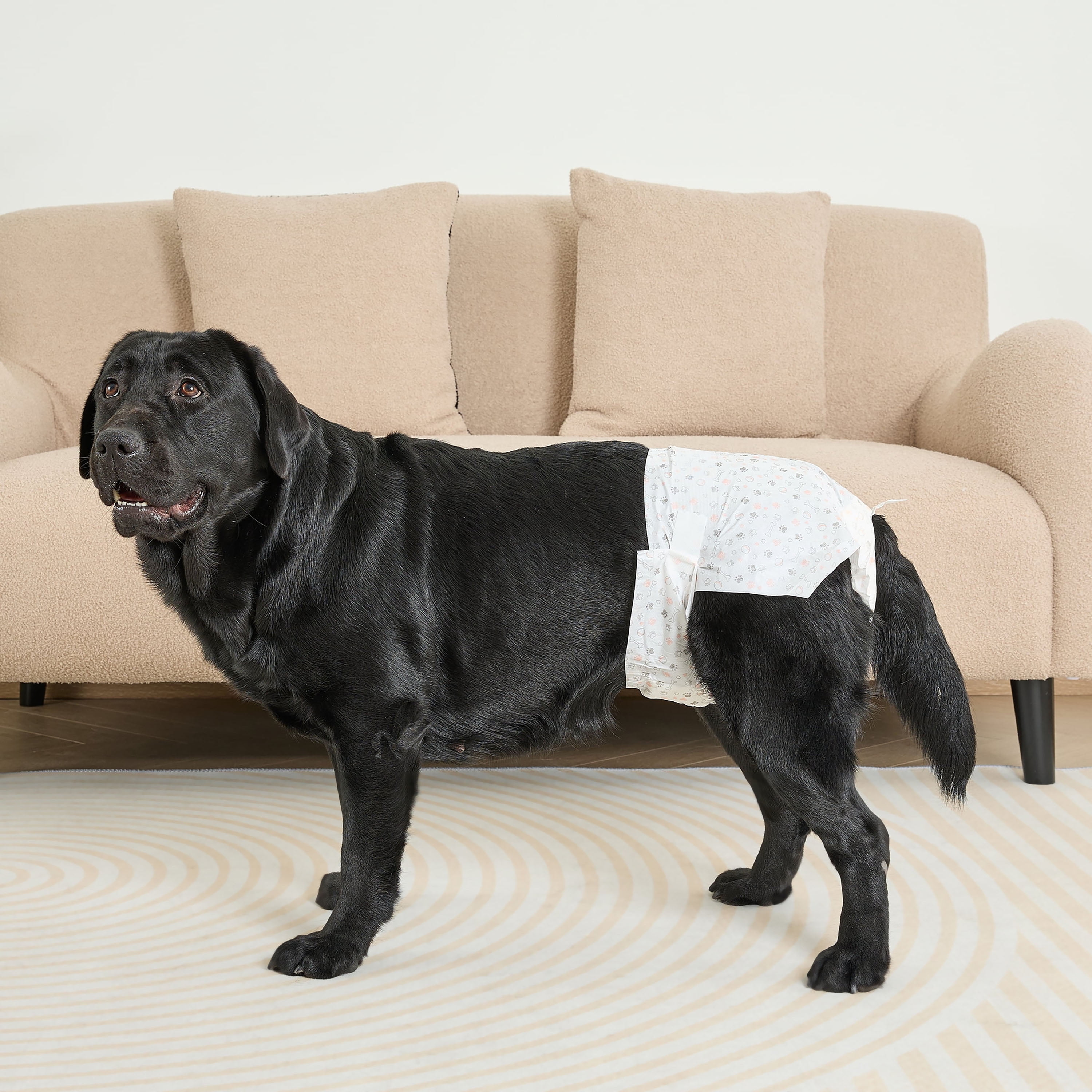 (4 pack) Vibrant Life Disposable Dog Diapers for Female Dogs, L, 12 Count