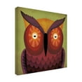 thumbnail image 4 of Trademark Fine Art 'Owl Wow' Canvas Art by Ryan Fowler, 4 of 4