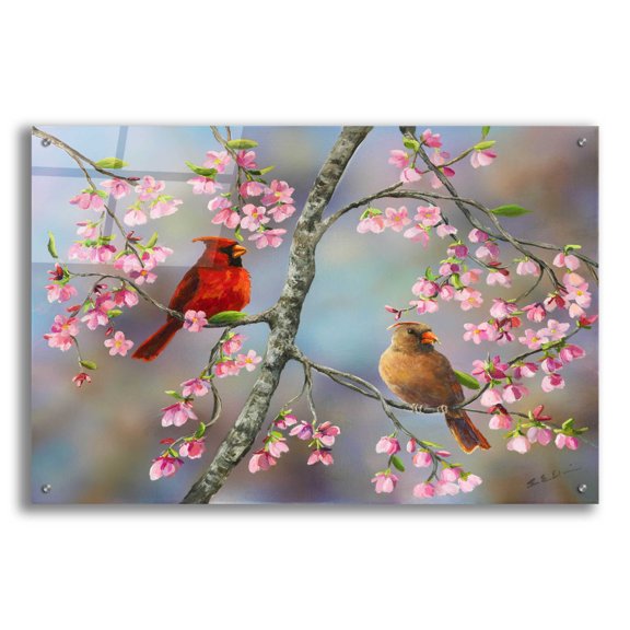 Epic Art 'Spring Cardinals' by Sarah Davis, Acrylic Glass Wall Art, 36"x24"