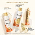 thumbnail image 5 of Shampoo Anticaída+ Pantene Biotinamina B3 para cabello débil 510 ml, 5 of 5