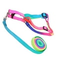 thumbnail image 3 of Pet Walking Leash Harness Set Outdoor Pet Walking Colorful Nylon Adjustable Harness Pull Strap Kit, 3 of 9