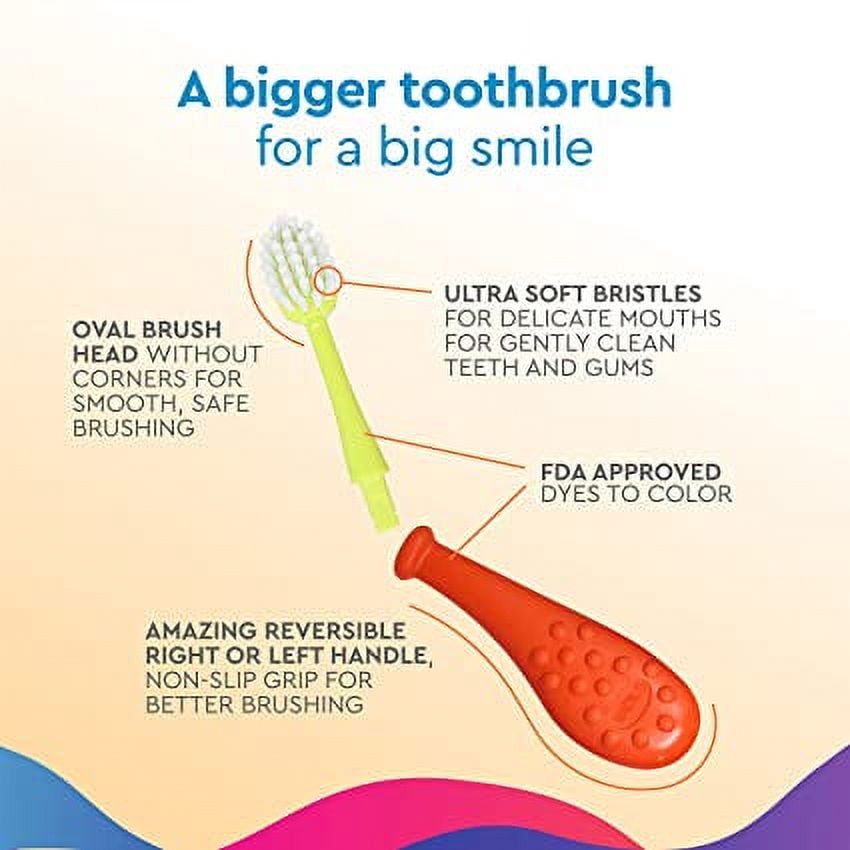 RADIUS Big Kidz Forever Brush with Replaceable Head Toothbrush for Children, 6 Years and Up, BPA Free ADA Accepted for Growing Teeth and Gums - Right and Left Handed, Extra Soft - Pack of 3