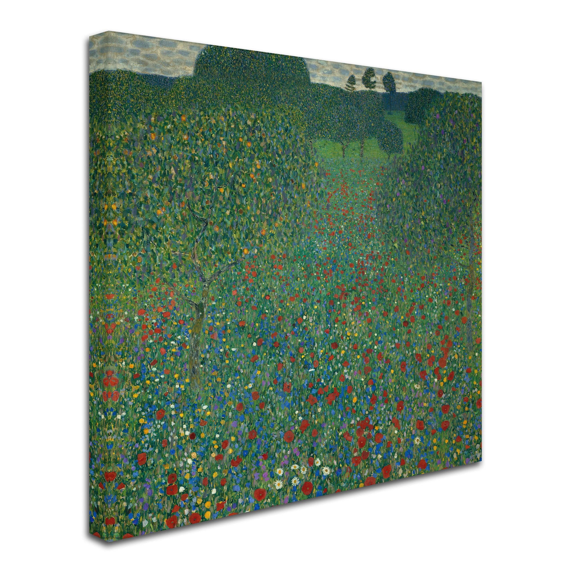 Trademark Fine Art "Field of Poppies" 1907 Canvas Art by Gustav Klimt
