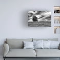 thumbnail image 3 of Aledanda 'Majestic' Canvas Art, 3 of 4