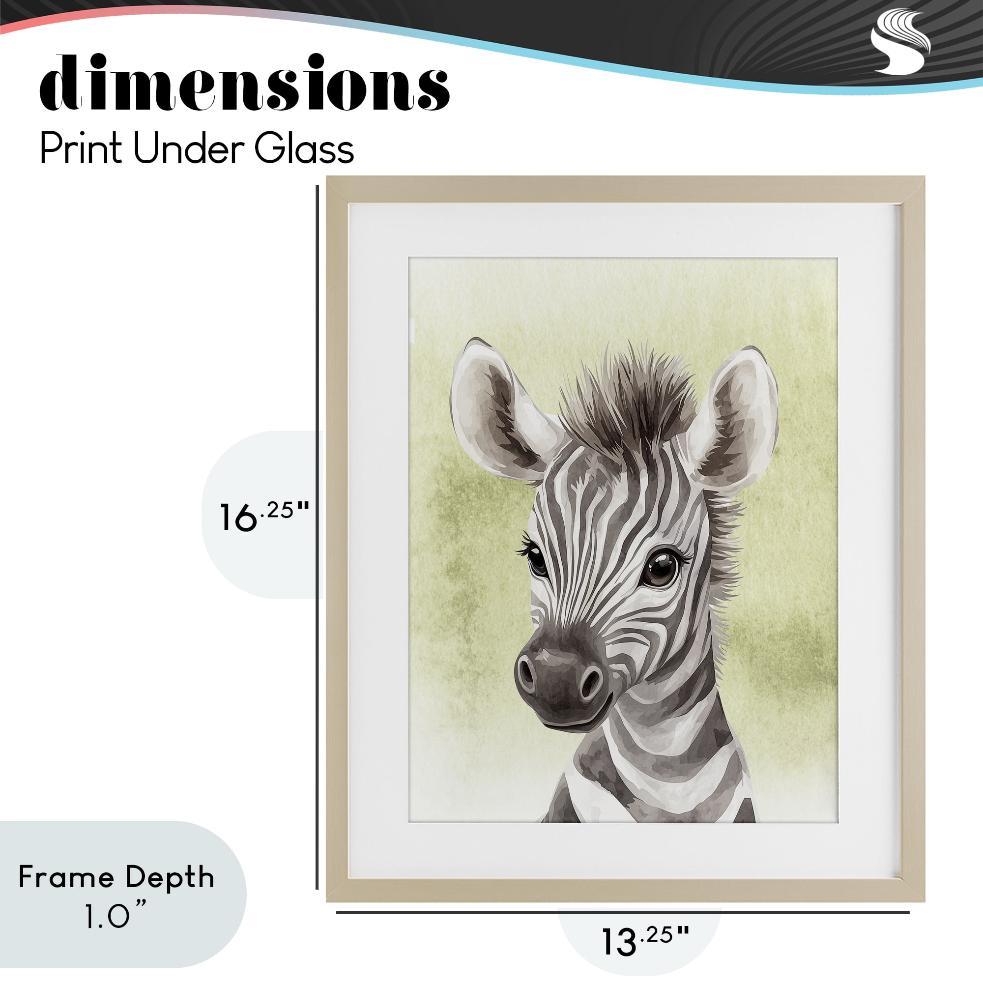 Stupell Industries Jungle Friends Baby Zebra Birch Framed Print Under Glass, design by Christine Simpson Art