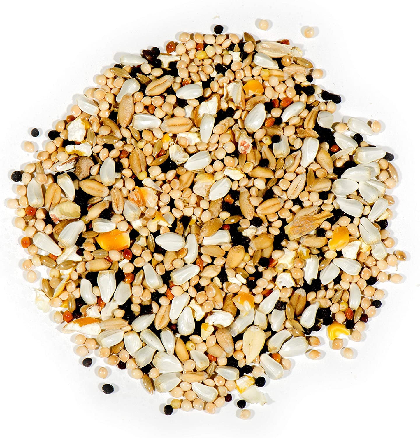 Autumn Food Chuckanut Natures Nuts Deluxe Dove Quail Blend Economical Mix 5 lb