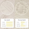 thumbnail image 4 of Exclusivo Mezcla Bed Quilt Set King Size for All Seasons, Stitched Pattern Quilted Bedspread/ Bedding Set/ Coverlet with 2 Pillow shams, Lightweight and Soft, Brich Beige, 4 of 7