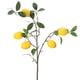 thumbnail image 3 of (6 frutas, longitud total de unos 80 cm) adornos de decoración interior del hogar de rama de limón de imitación, 3 of 14