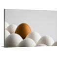 thumbnail image 1 of Great BIG Canvas | "Close Up Of One Brown Egg Amongst Several White Eggs" Canvas Wall Art - 36x24, 1 of 2