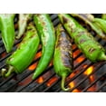 thumbnail image 4 of TomorrowSeeds - Anaheim Chile Pepper Seeds - 900+ Count - For 2026 Planting 2,500 Scoville Heirloom, 4 of 11