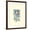 Brown Frame, variant on Art.com Chickadee in White Pine Art Print by Janet Mandel, 12" x 16"