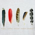 thumbnail image 3 of CafePress - Nature Art Bird Feathers T Shirt - Men's Classic Graphic T-Shirt, 3 of 4