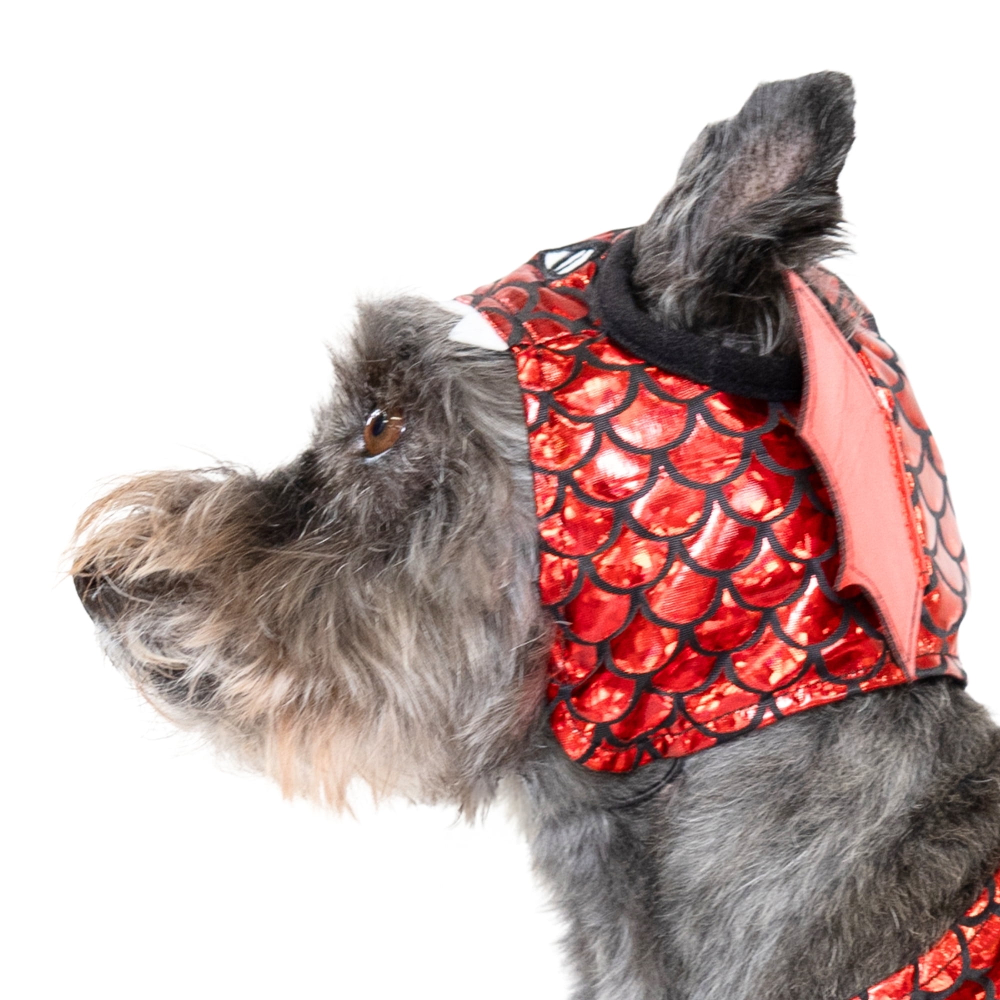 Vibrant Life Halloween Dragon Costume for Dogs & Cats, Red, Small