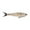 Burnt Bone, variant on Berkley PowerBait® Nessie Fishing Bait, Hickory Shad, 7 in, Soft Swimbait