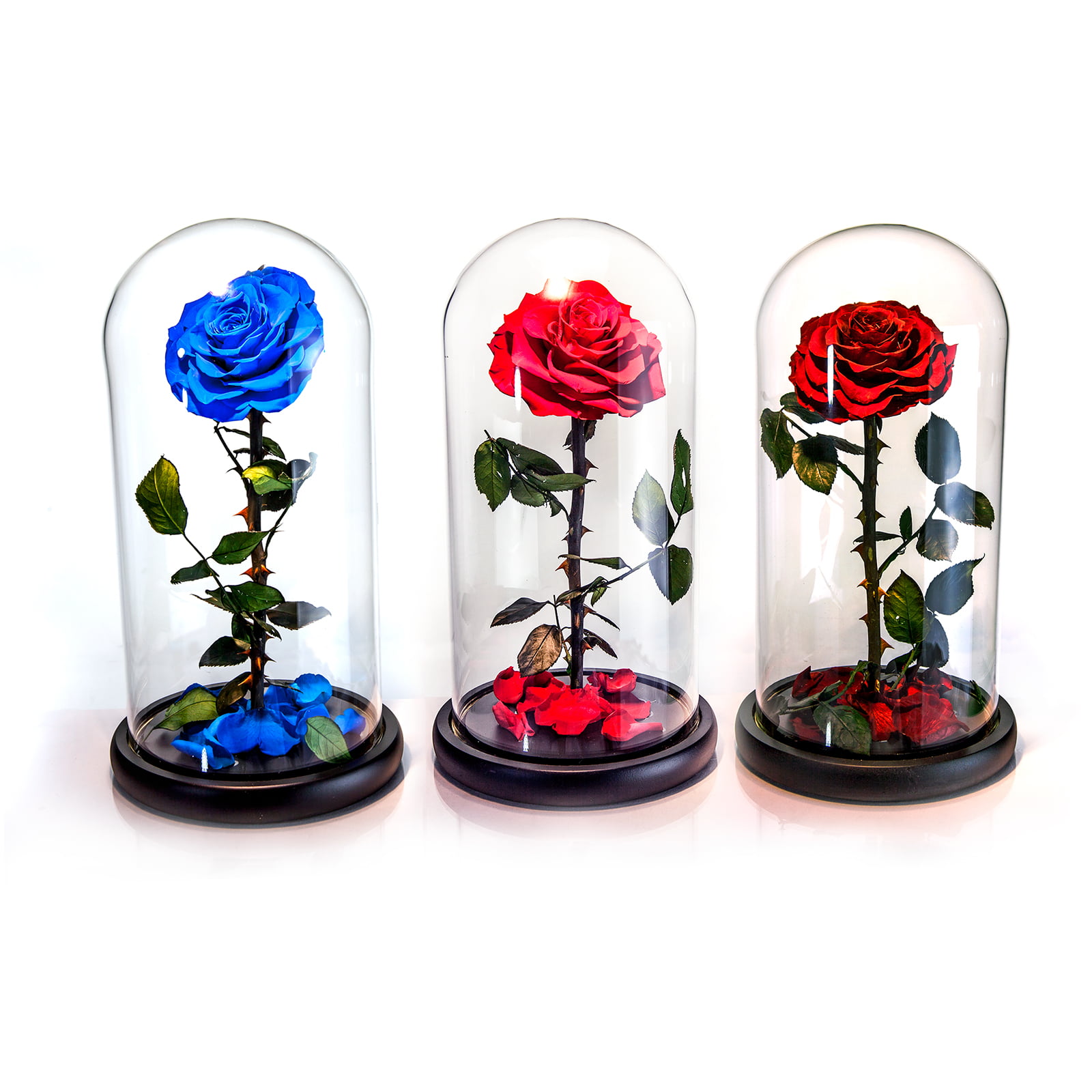 Eternal Rose of Wrought Iron Beauty and the Beast with fallen red petals and in glass dome on wooden base 